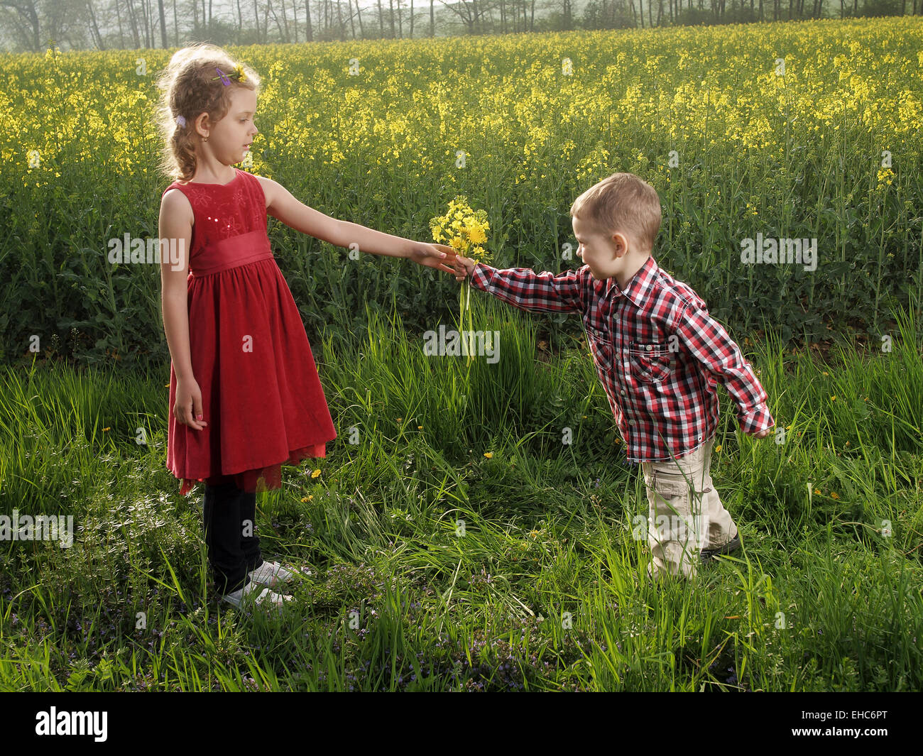 Petite fille et garçon avec bouquet de pissenlits Banque D'Images