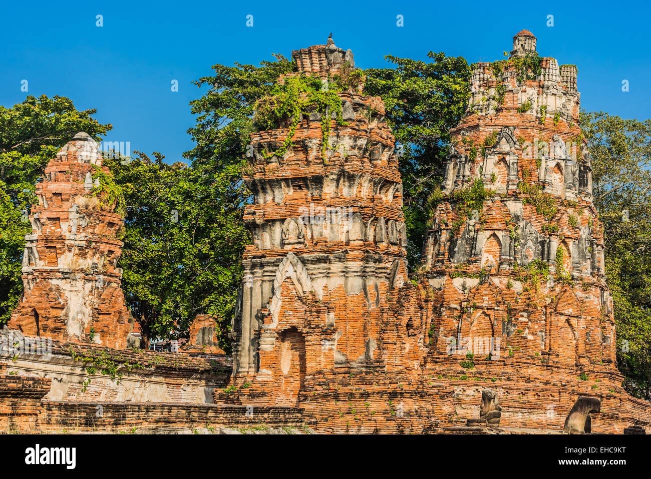 Wat Mahathat temple ruines à Ayutthaya Bangkok Thaïlande Banque D'Images