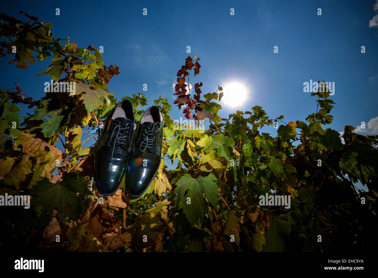 Chaussures de mariage accrocher sur la vigne Banque D'Images
