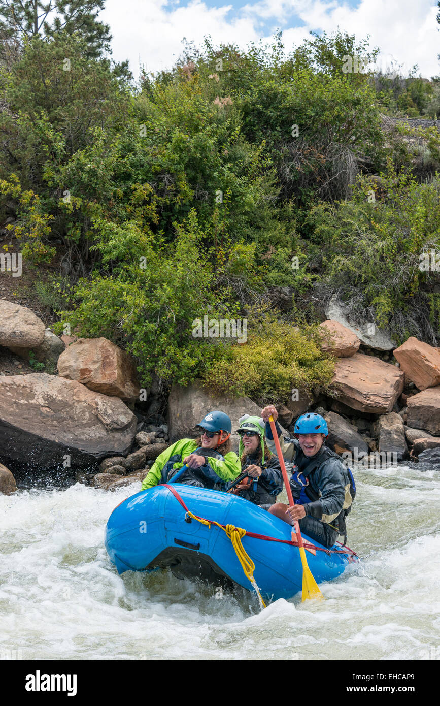 Les chevrons dans la section Numéros de l'Arkansas River au-dessus de Buena Vista, Colorado. Banque D'Images