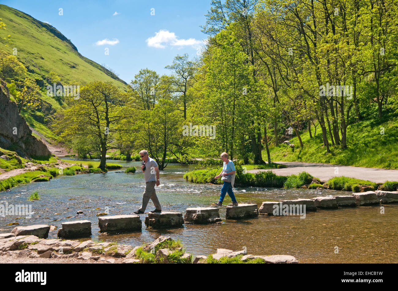 Pierres de gué sur la rivière collecteur, Dovedale, parc national de Peak District, Derbyshire, Angleterre, RU Banque D'Images