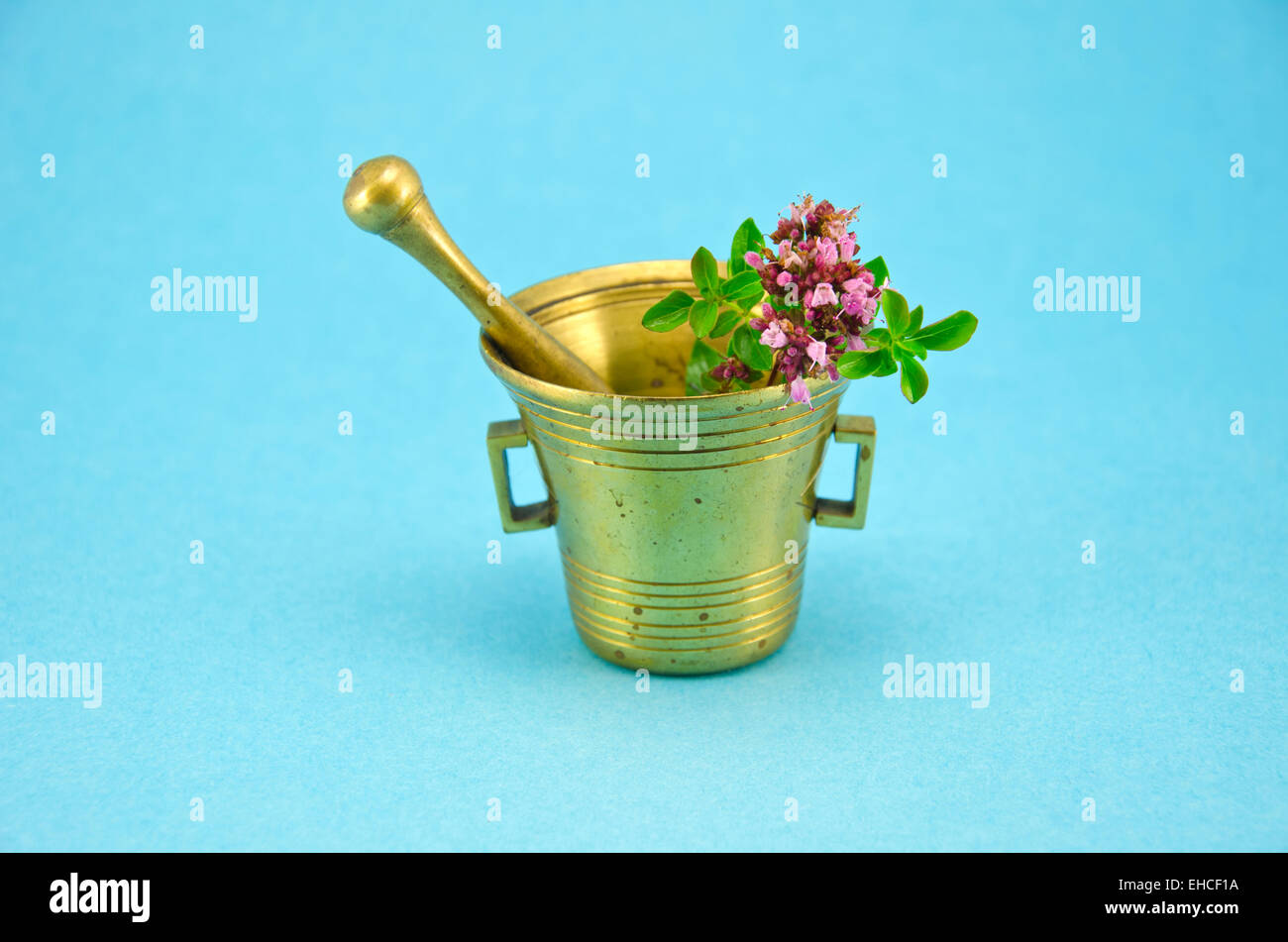 La marjolaine sauvage origan herbes dans vieux mortier en laiton sur fond bleu Banque D'Images