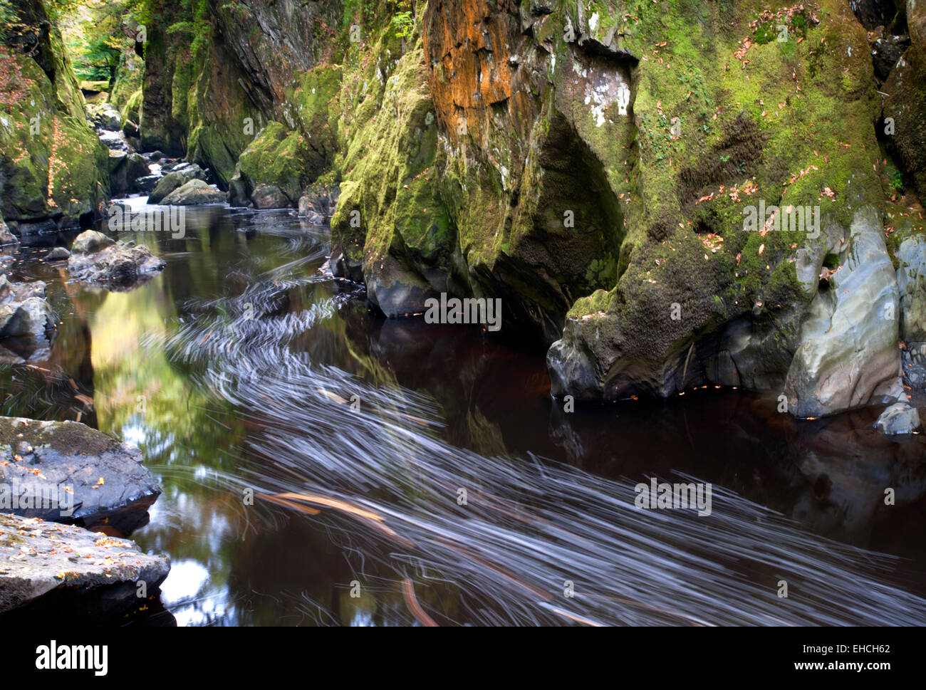 La Fairy Glen sur l'Afon Conwy, près de Betws y Coed, Snowdonia, le Nord du Pays de Galles, Royaume-Uni Banque D'Images