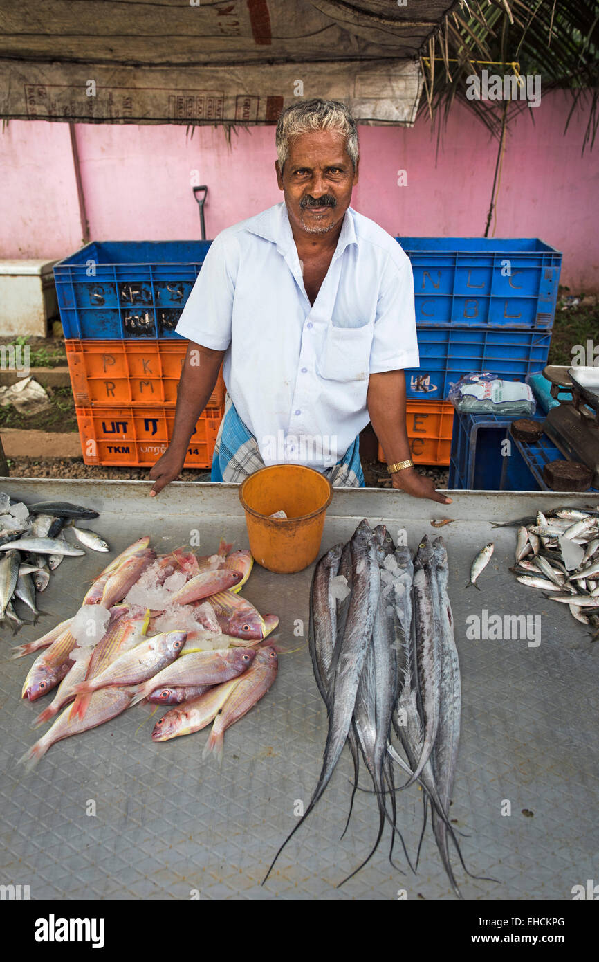 À son poisson monger market stall, Alappuzha, Kerala, Inde Banque D'Images