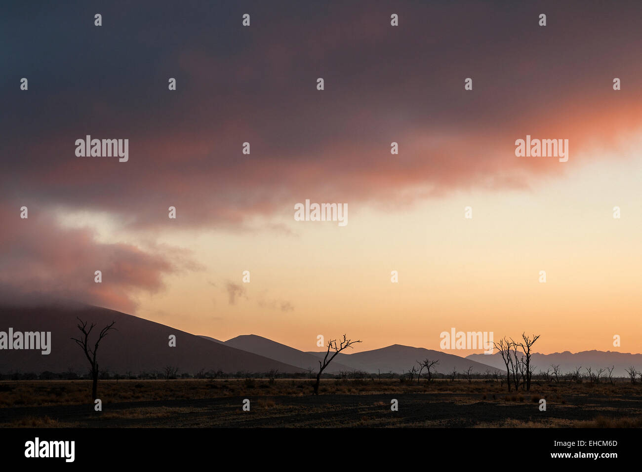 Première lumière du matin, lever du soleil à Sossusvlei, le désert du Namib, Namibie Namib Naukluft Park, Banque D'Images