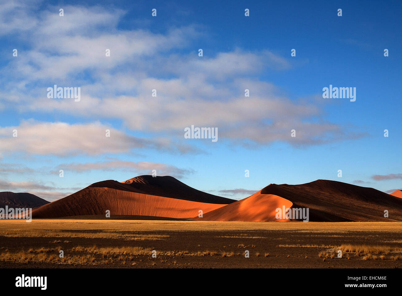 Les dunes de Sossusvlei, lumière du soir, Désert du Namib, le Namib Naukluft Park, Namibie Banque D'Images