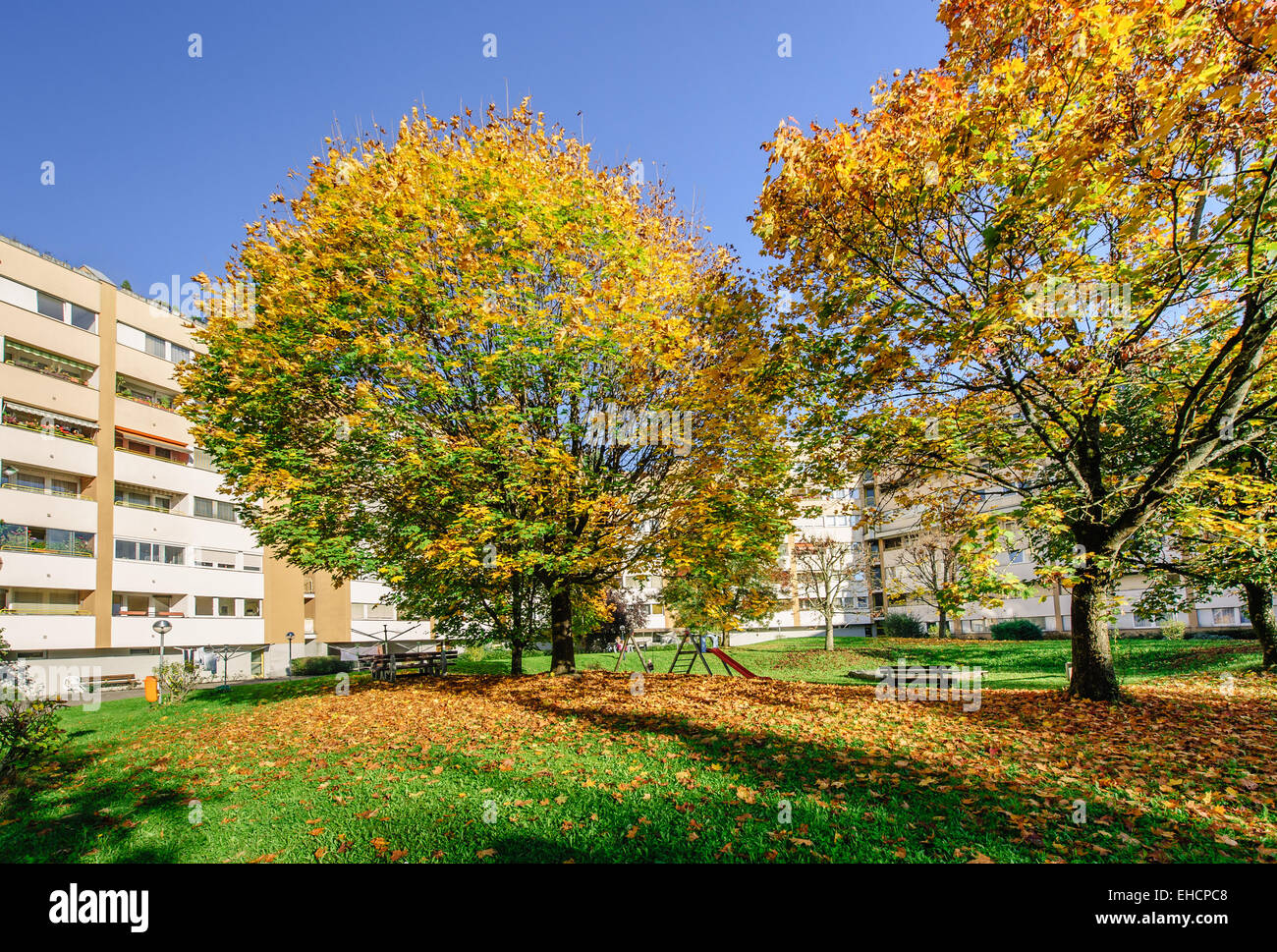 Les arbres d'automne dans un bloc de vie Banque D'Images