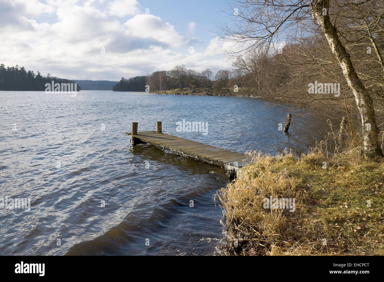 Petit pont dans un lac appelé Salten Langsoe, près de Silkeborg, Danemark Banque D'Images