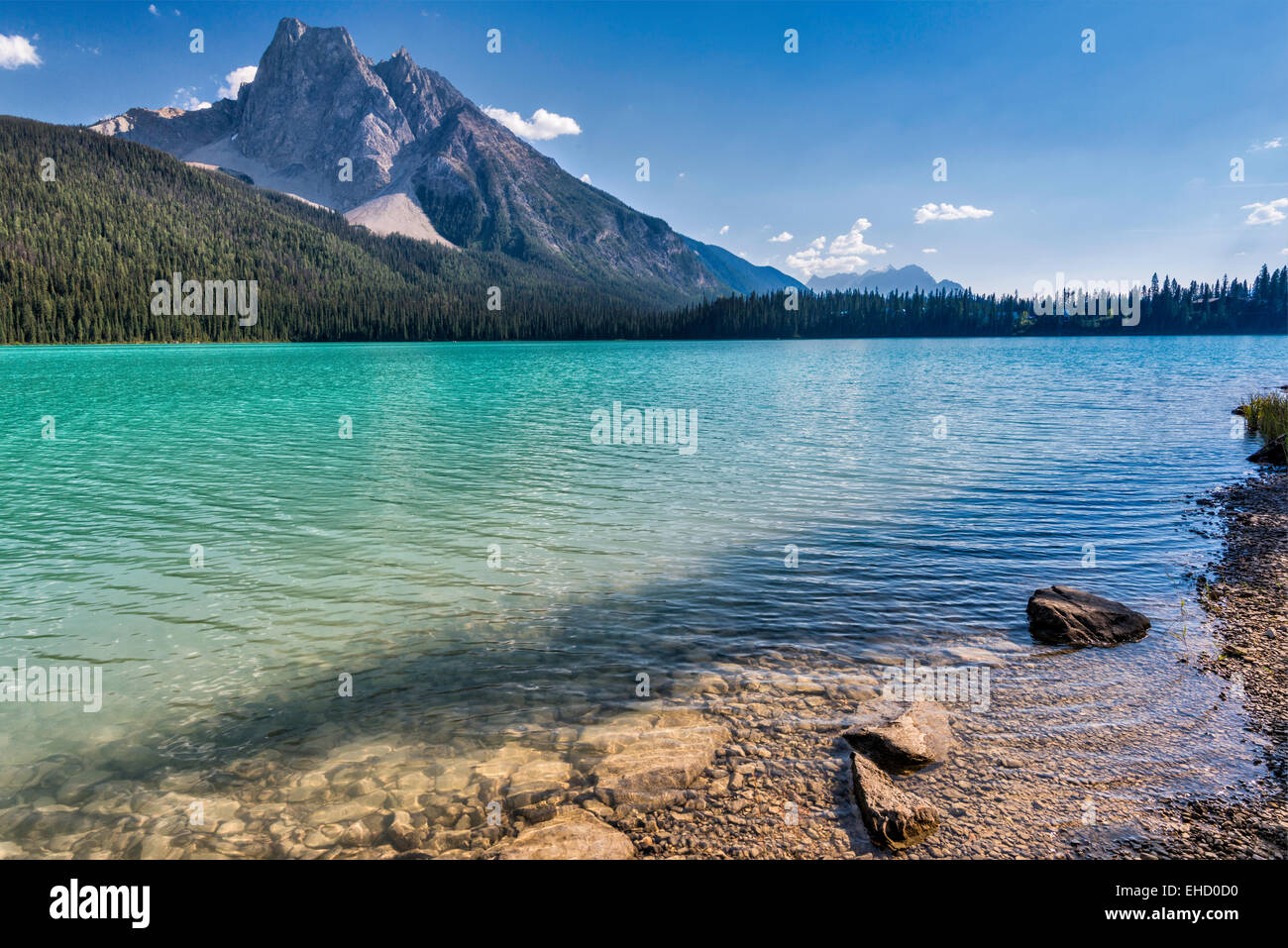 Mont Burgess sur le lac Emerald, Rocheuses canadiennes, le parc national Yoho, Colombie-Britannique, Canada Banque D'Images