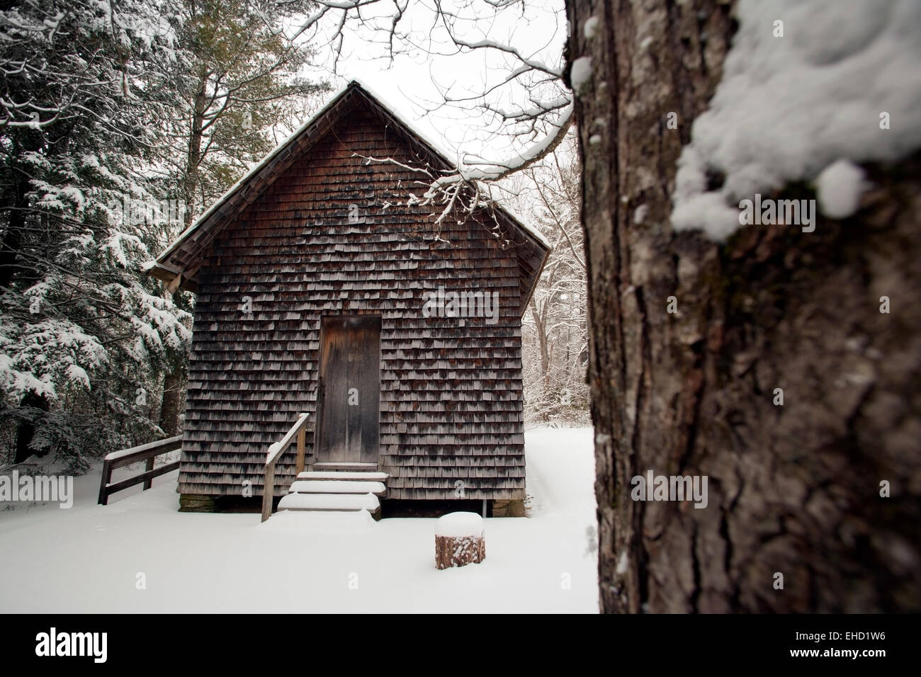 Une école au berceau de l'exploitation forestière - Pisgah Forest National - près de Brevard, North Carolina, États-Unis Banque D'Images