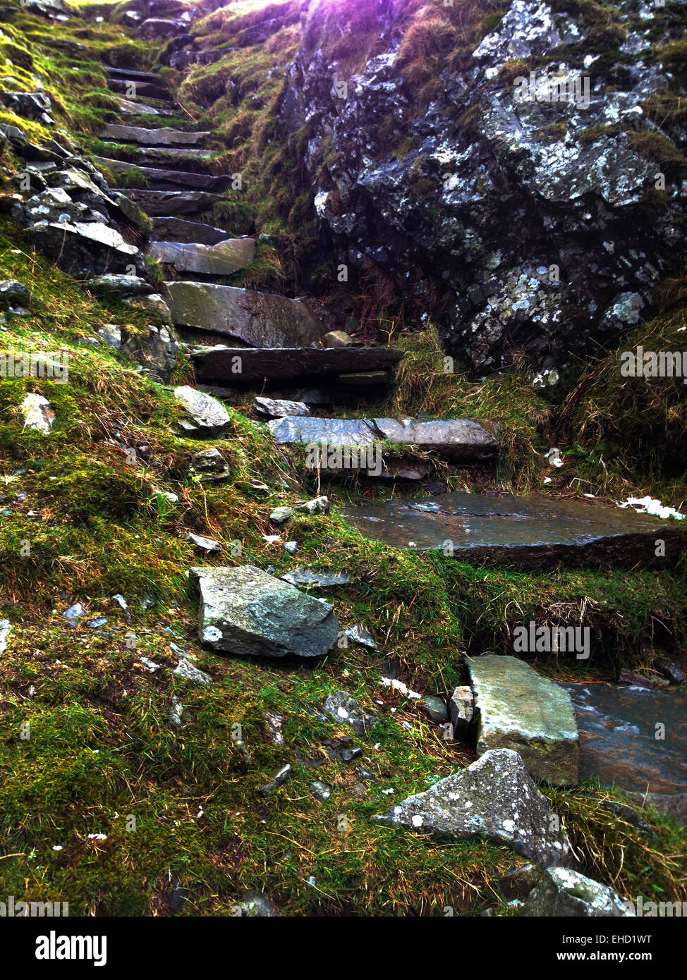 Loughrigg étapes est tombé, Lake District, Cumbria, Angleterre Banque D'Images