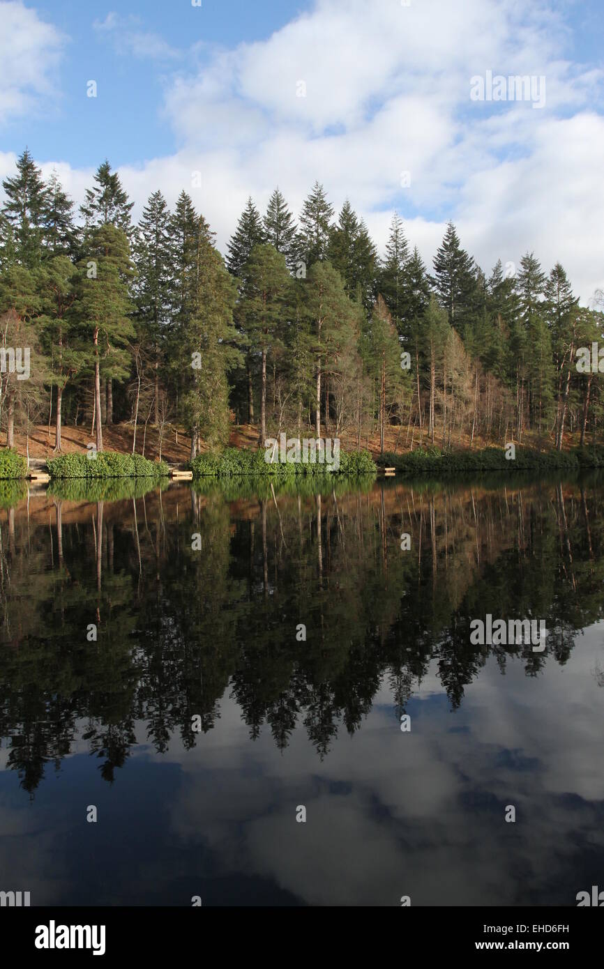 Arbres se reflétant dans le Loch Dunmore Ecosse Mars 2015 Banque D'Images