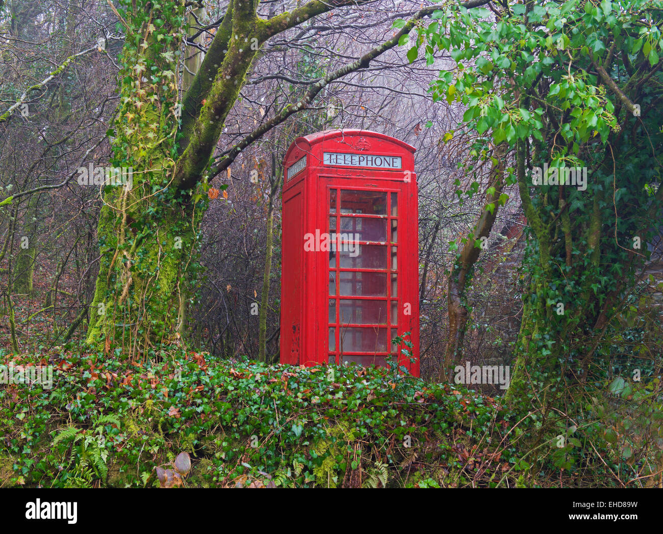 Boîte de téléphone rouge s'échapper dans la nature, en Angleterre, Royaume-Uni Banque D'Images