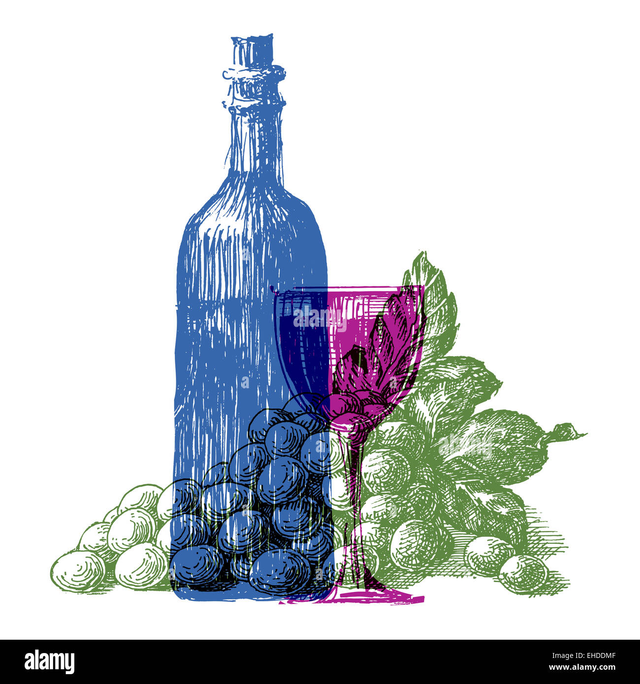 Bouteille de vin logo vector modèle. raisins ou de boisson alcoolisée. Banque D'Images