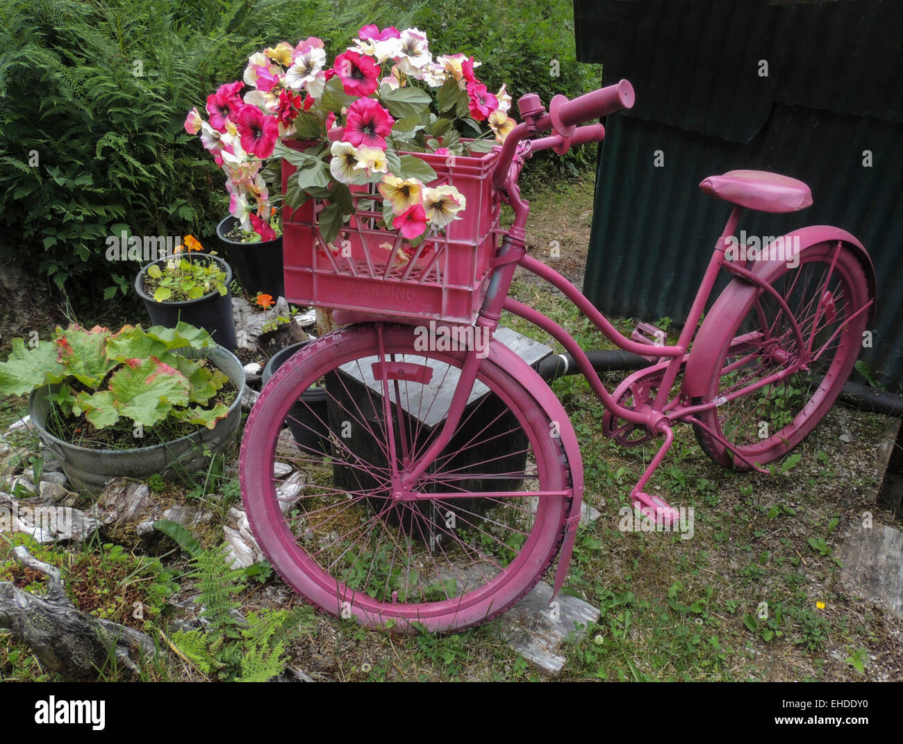 Un vélo de couleur affiche un bouquet coloré de fleurs artificielles, de Tenakee Springs, l'Île Chichagof, sud-est de l'Alaska, les Tonga Banque D'Images