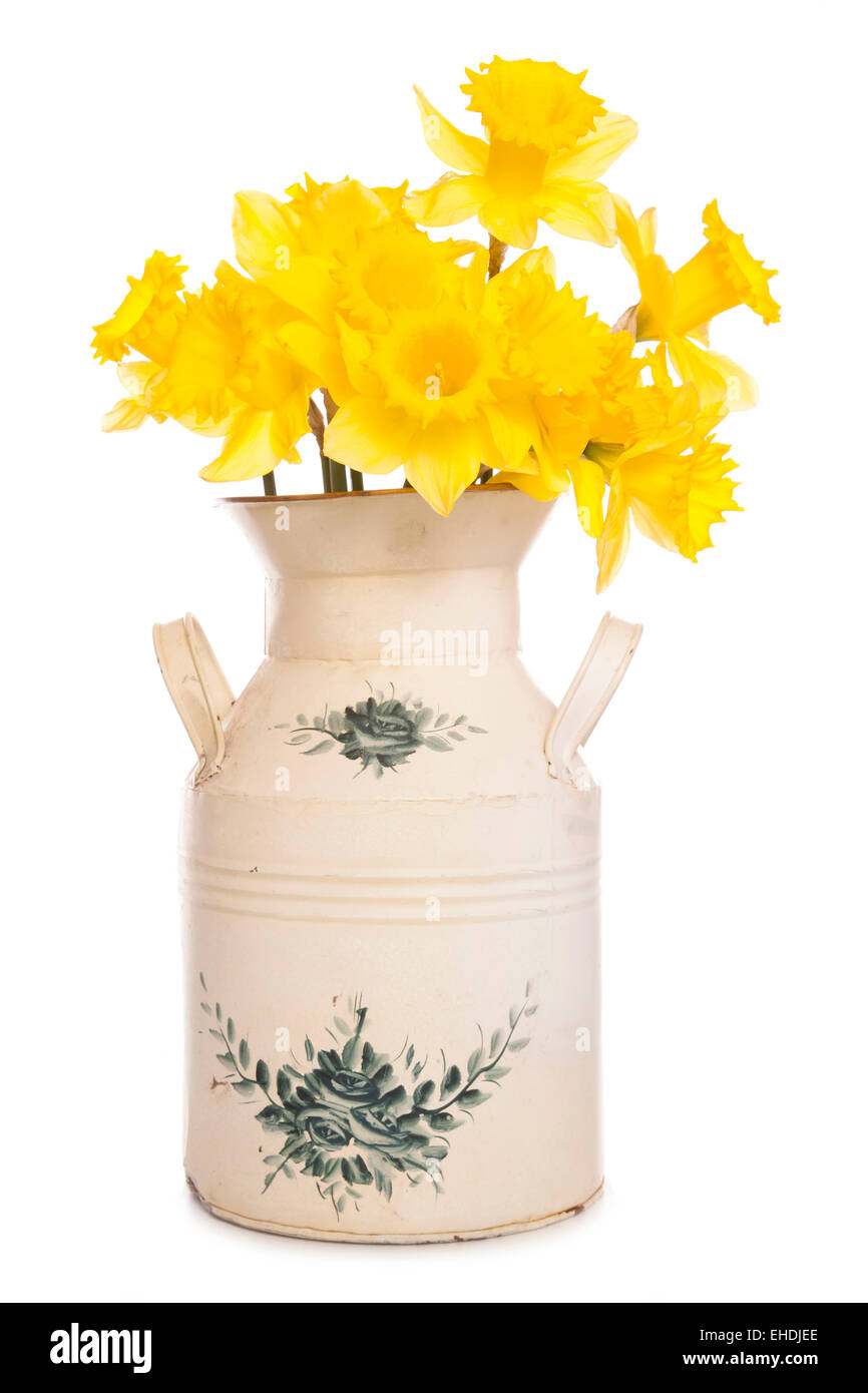 Les jonquilles dans un vase décoration shabby chic Banque D'Images