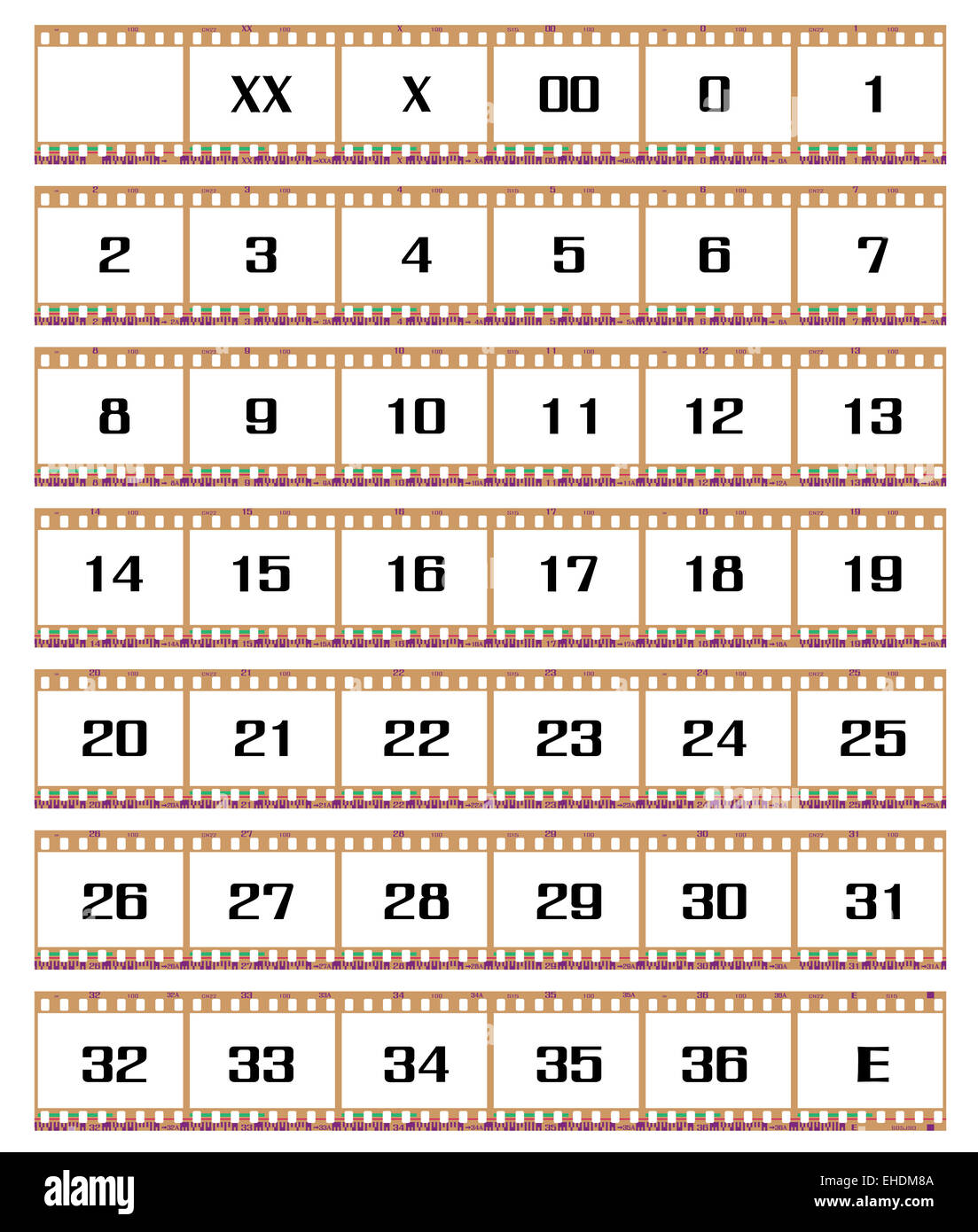 Bande de film négatif, images complètes Banque D'Images