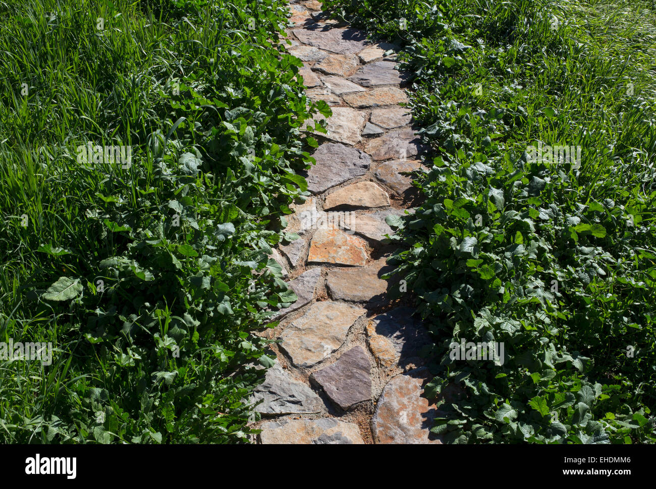 Passerelle en pierre, garden trail, Ovide, Pritchard Hill Winery, Napa Valley, California, United States, Amérique du Nord Banque D'Images