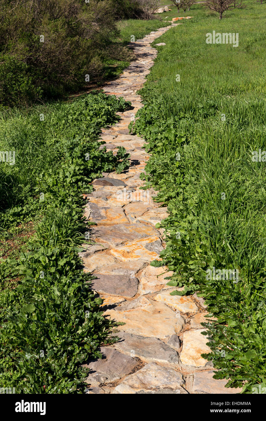 Passerelle en pierre, garden trail, Ovide, Pritchard Hill Winery, Napa Valley, California, United States, Amérique du Nord Banque D'Images