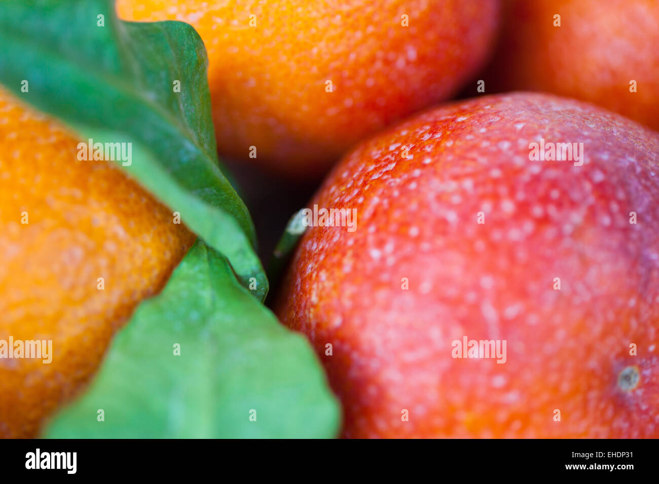 Macro de peaux d'orange sanguine avec des feuilles Banque D'Images