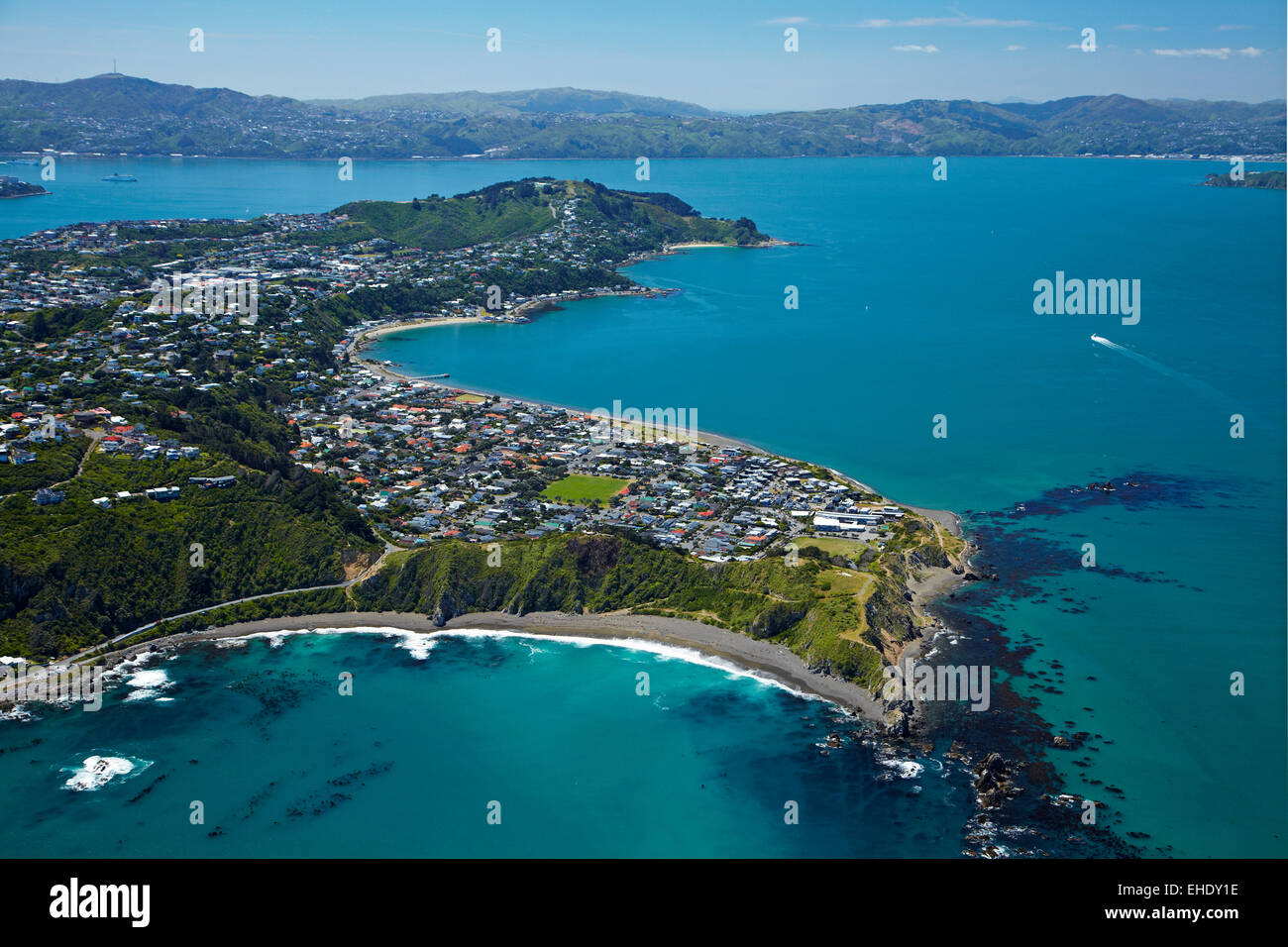 La baie de disjoncteur et Seatoun, Wellington, Wellington Harbour, île du Nord, Nouvelle-Zélande - vue aérienne Banque D'Images
