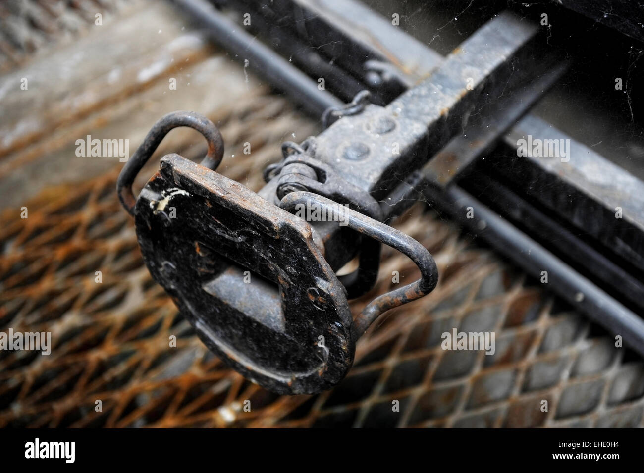 Shot industriel avec de vieux tram wagon couvert de la mémoire tampon dans un spider web Banque D'Images