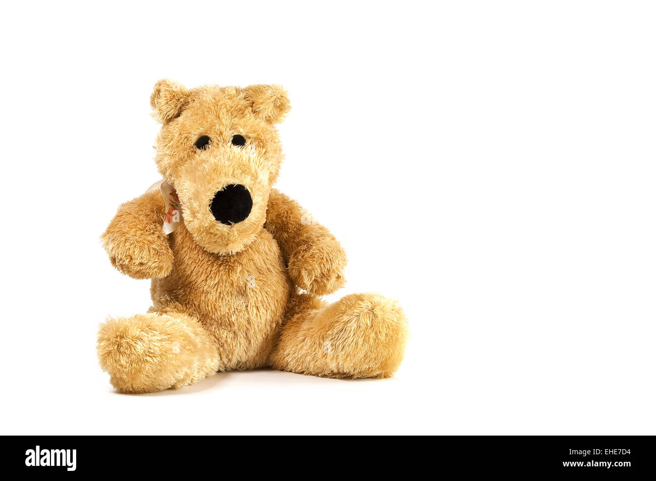 Chien en peluche Banque D'Images