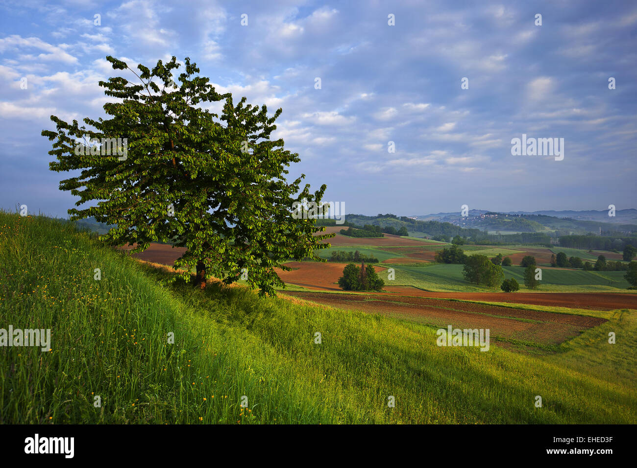 Vue de Montechiaro d'Asti, Piémont, Italie Banque D'Images