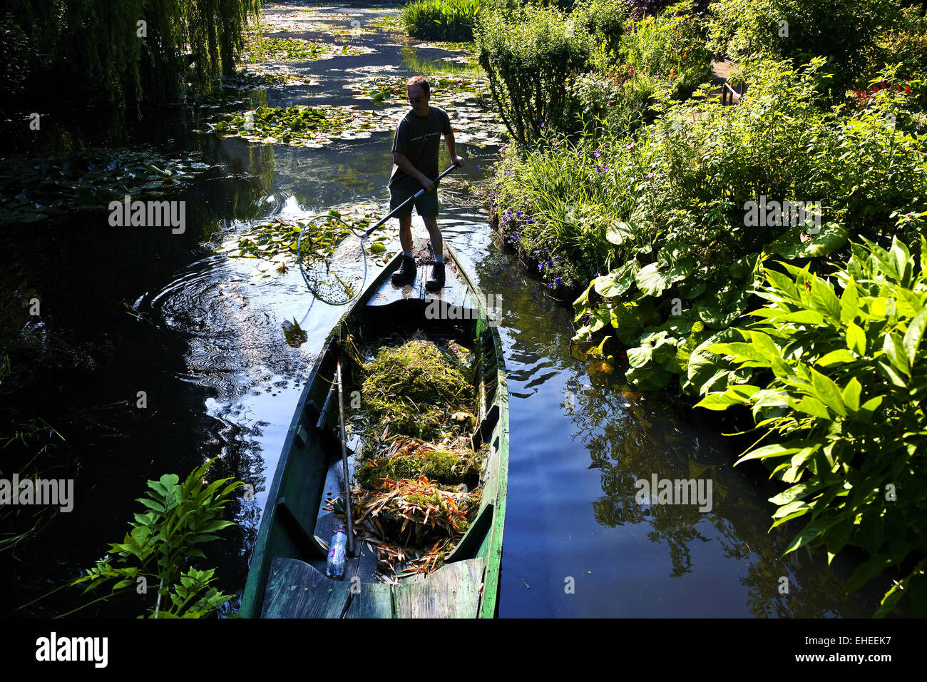 Le jardin de Monet : jardinier dans le jardin d'eau Banque D'Images