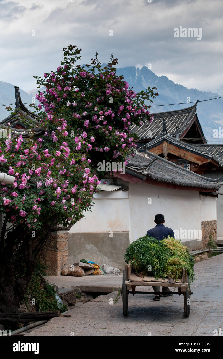 Lijiang, Shuhe Ancient Town Banque D'Images