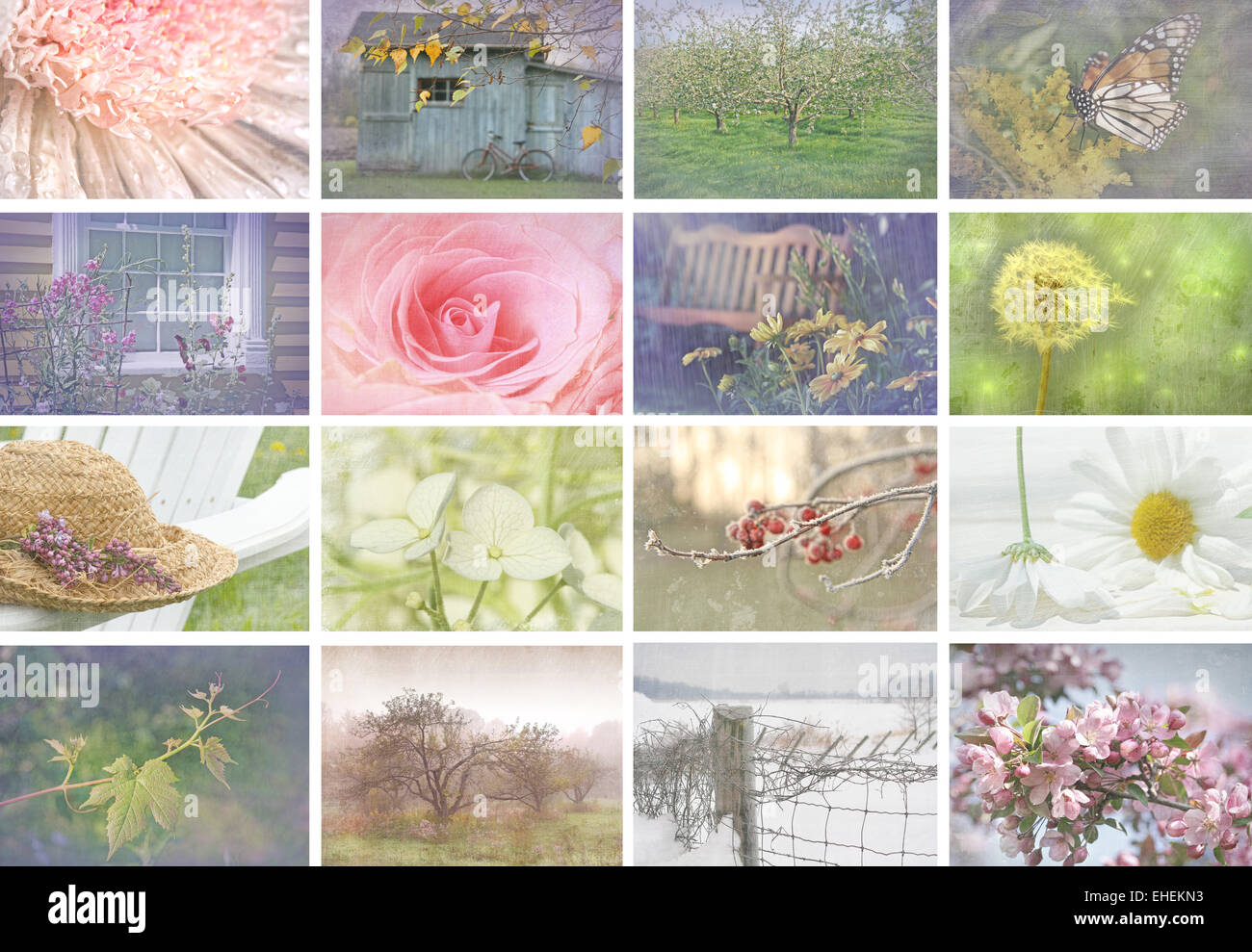 Collage d'images de saison avec look vintage Banque D'Images