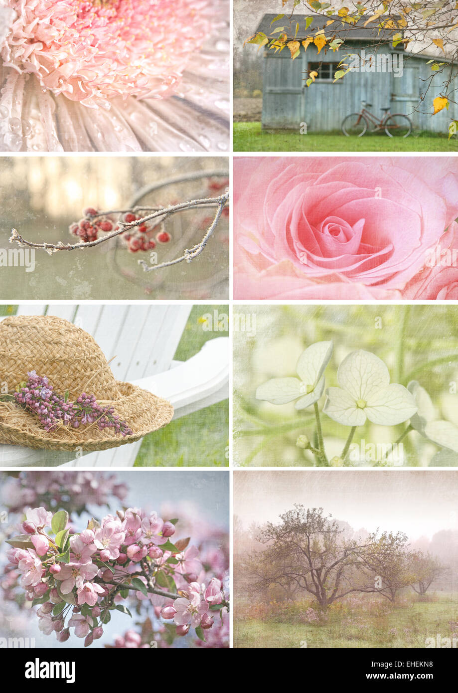 Collage d'images de saison avec look vintage Banque D'Images