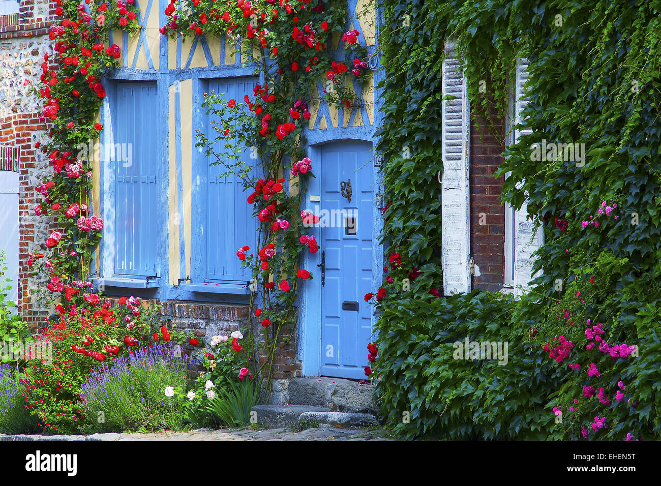 Maisons dans blossom, Gerberoy, Picardie, France Banque D'Images