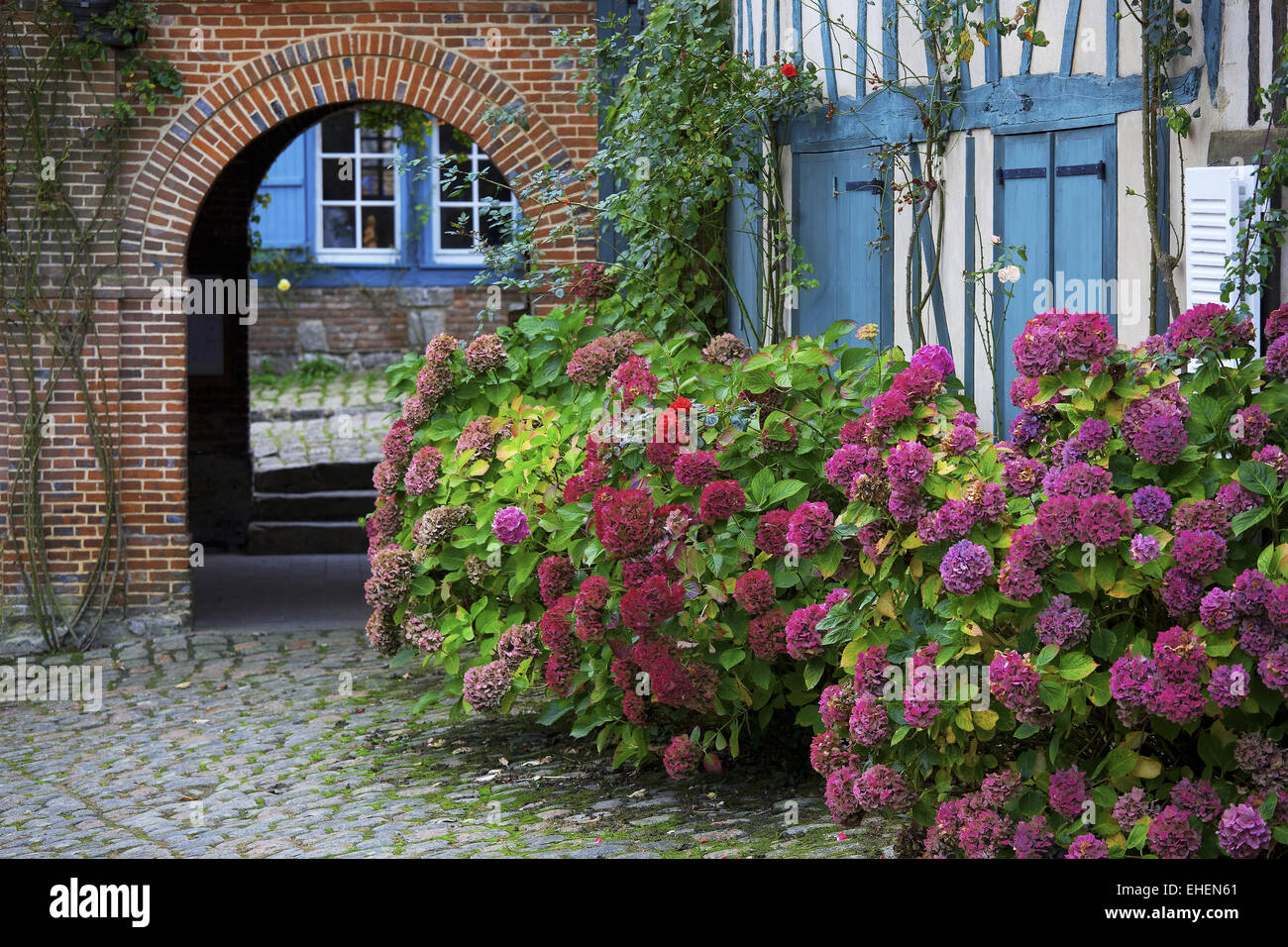Maisons dans blossom, Gerberoy, Picardie, France Banque D'Images