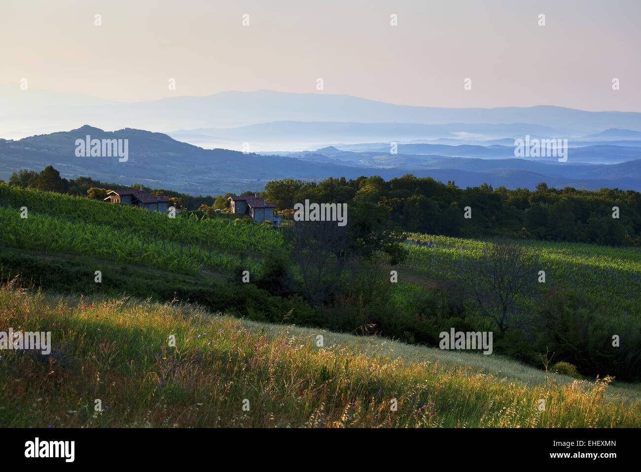 Vue de Roccatederighi, Toscane, Italie Banque D'Images