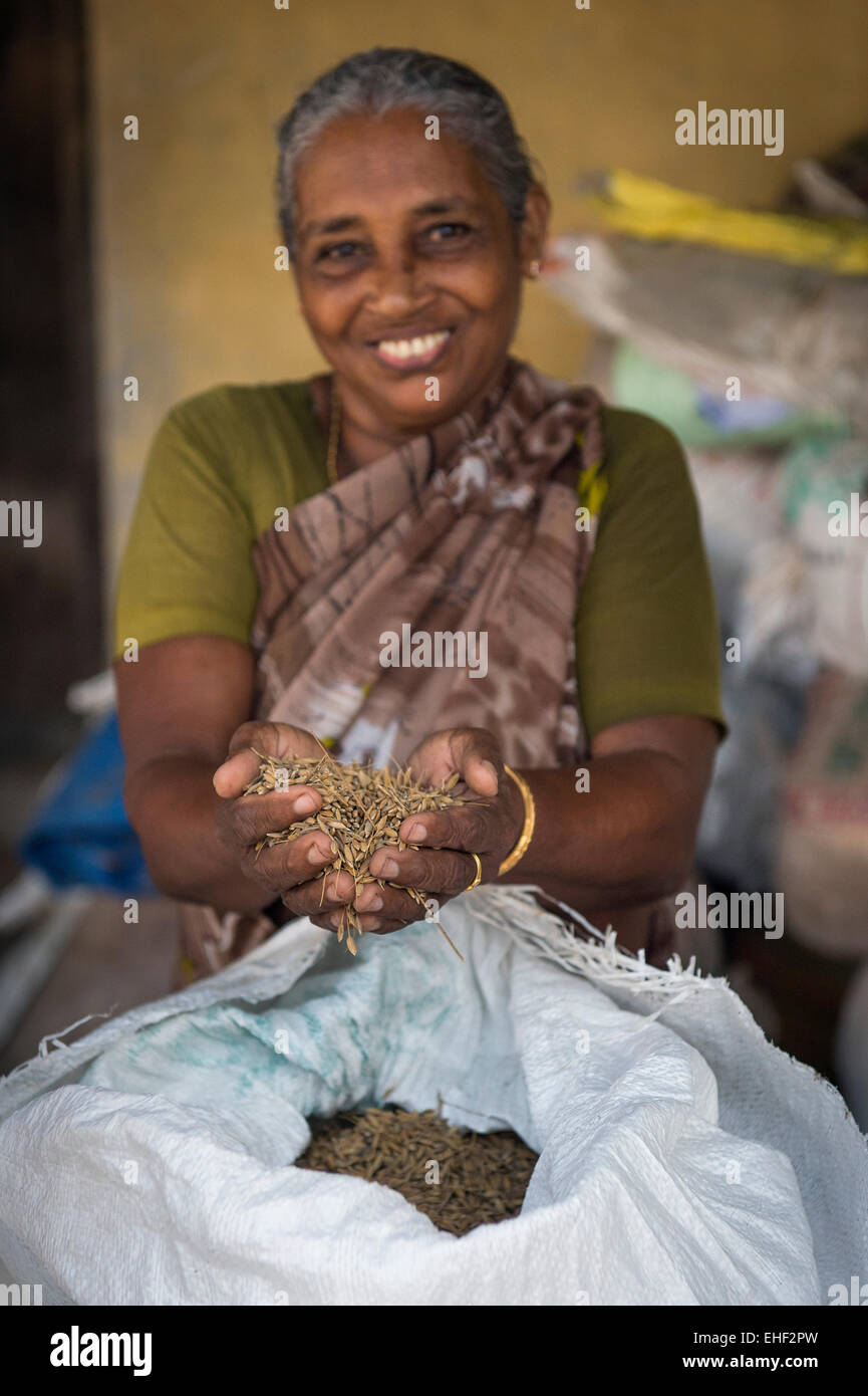 Pokkali femme tenant dans ses mains le riz, l'eau dormante, le District d'Ernakulam, Kerala, Inde Banque D'Images