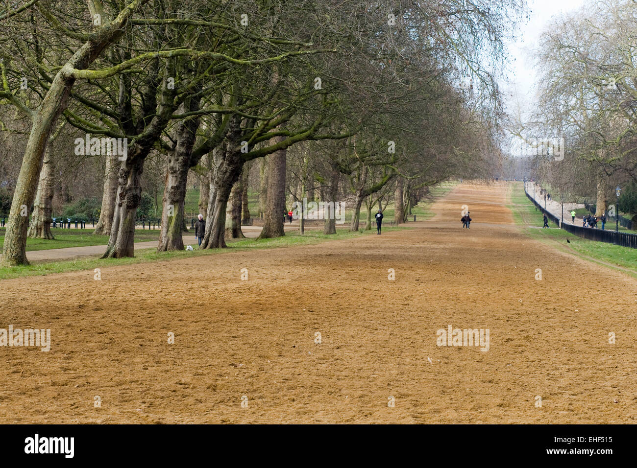 Allée cavalière de Rotten Row Hyde park Londres Banque D'Images