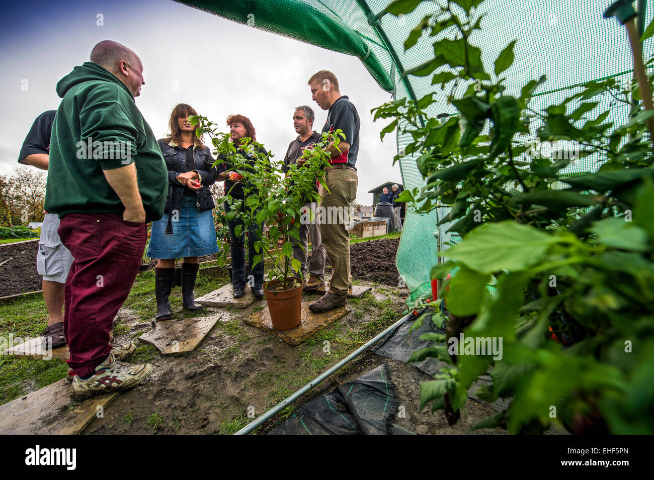 Les membres du Club de Chili Clifton Bristol réunion à l'attribution de Dovercourt UK Banque D'Images