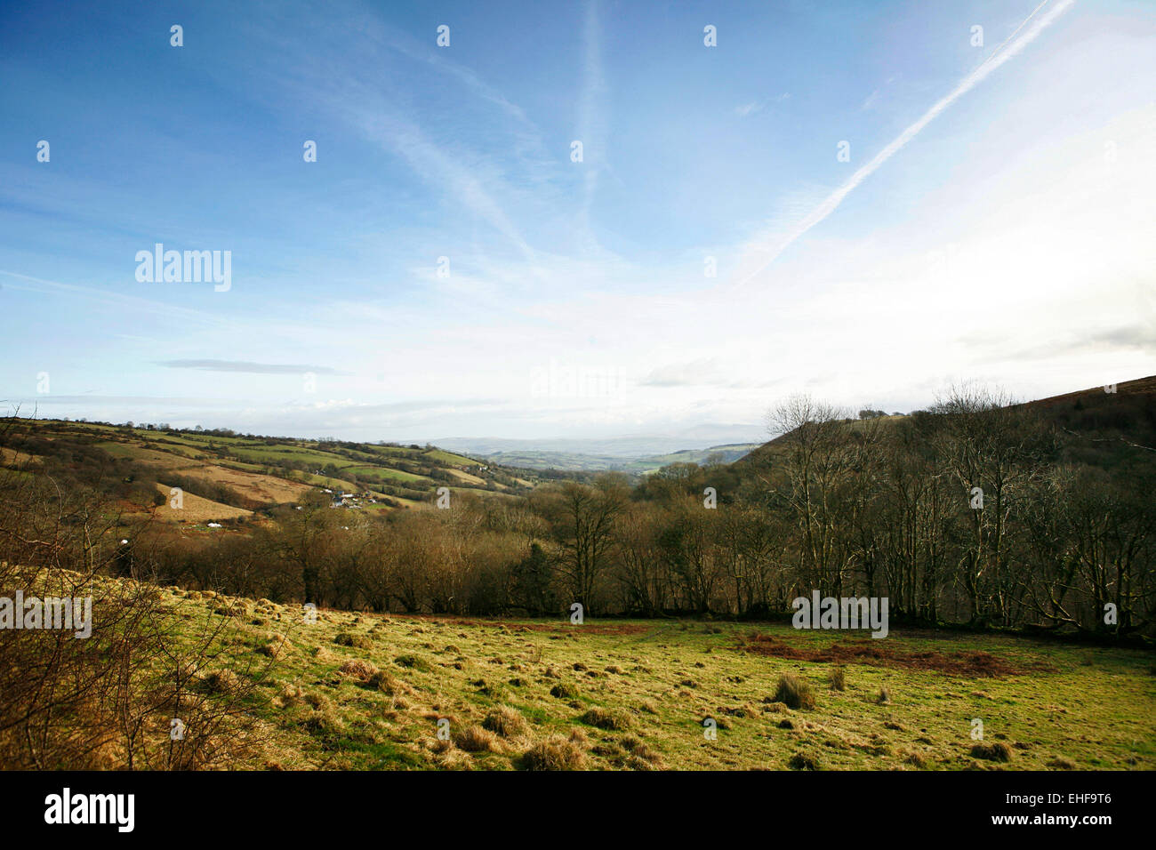 Vue sur la vallée à une communauté écologique Tipi Valley près de Talley au Pays de Galles. Banque D'Images