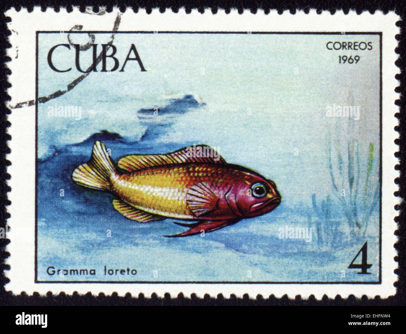 CUBA - circa 1969 : timbres en Cuba montre le poisson Gramma loreto Banque D'Images