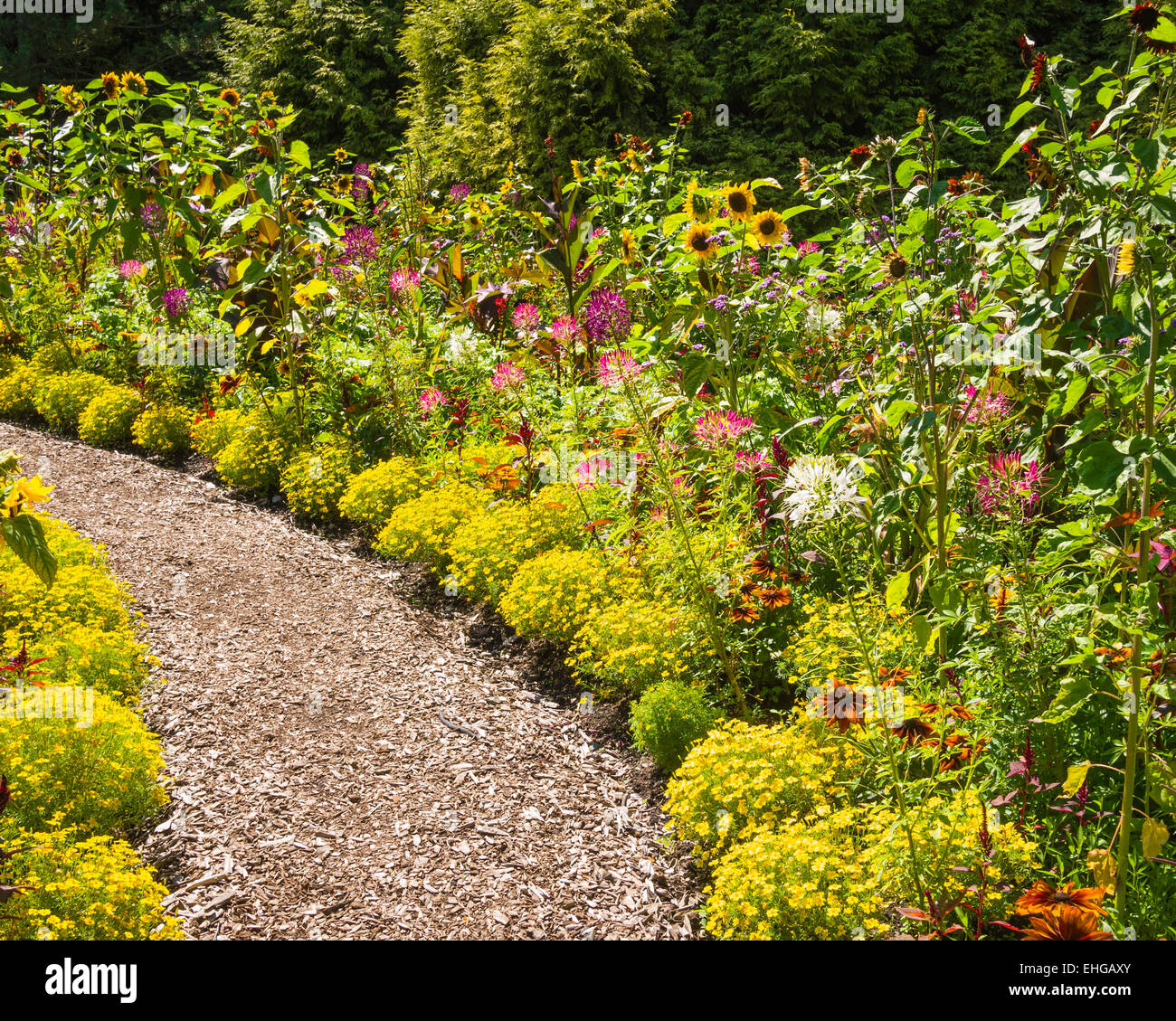 Alma Van Dusen Garden, jardin botanique Van Dusen, Vancouver, BC, Canada Banque D'Images