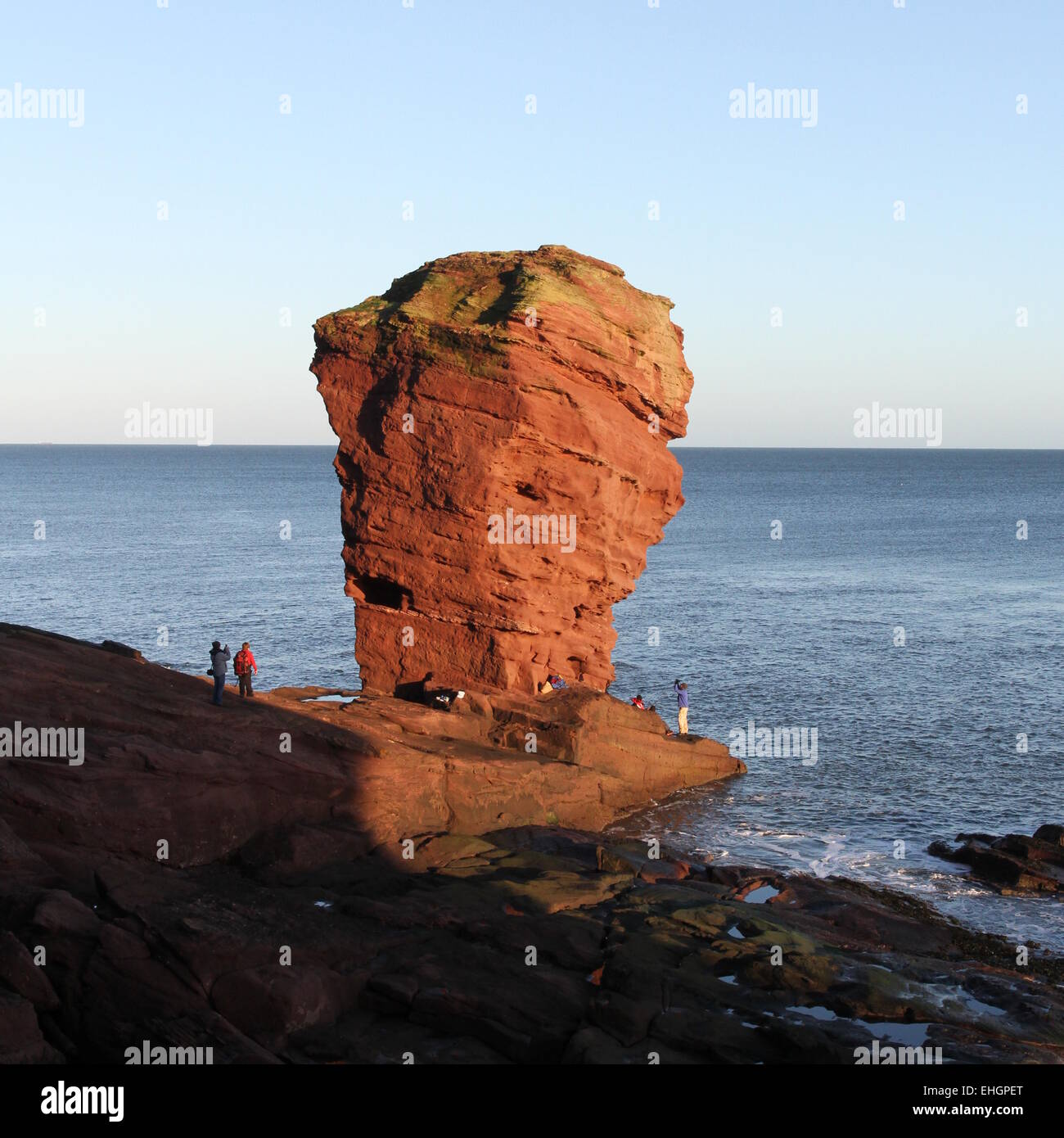 Deil's heid pile mer près de arbroath angus scotland mars 2015 Banque D'Images