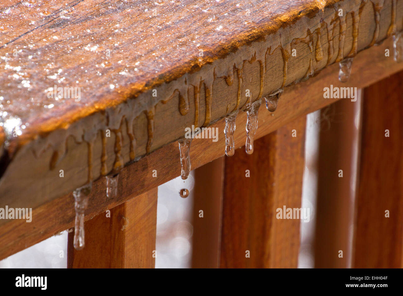 Les petits glaçons fusion dripping off une balustrade en bois du pont dans un dégel en hiver Banque D'Images