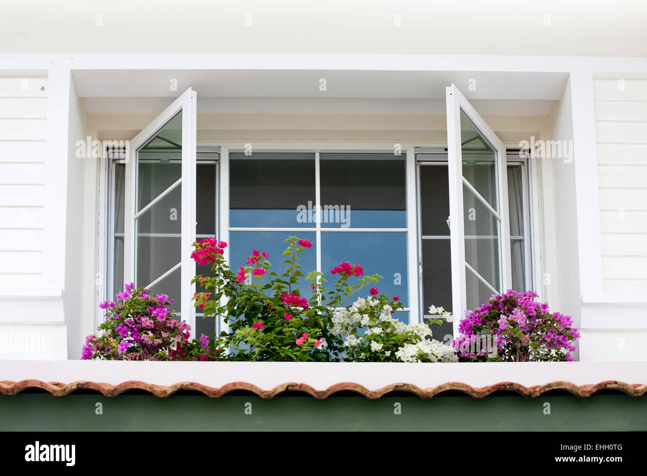 Vue rapprochée de la fenêtre encadrée blanc nice avec des fleurs Banque D'Images