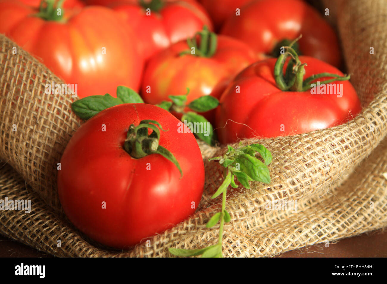 tomate Banque D'Images