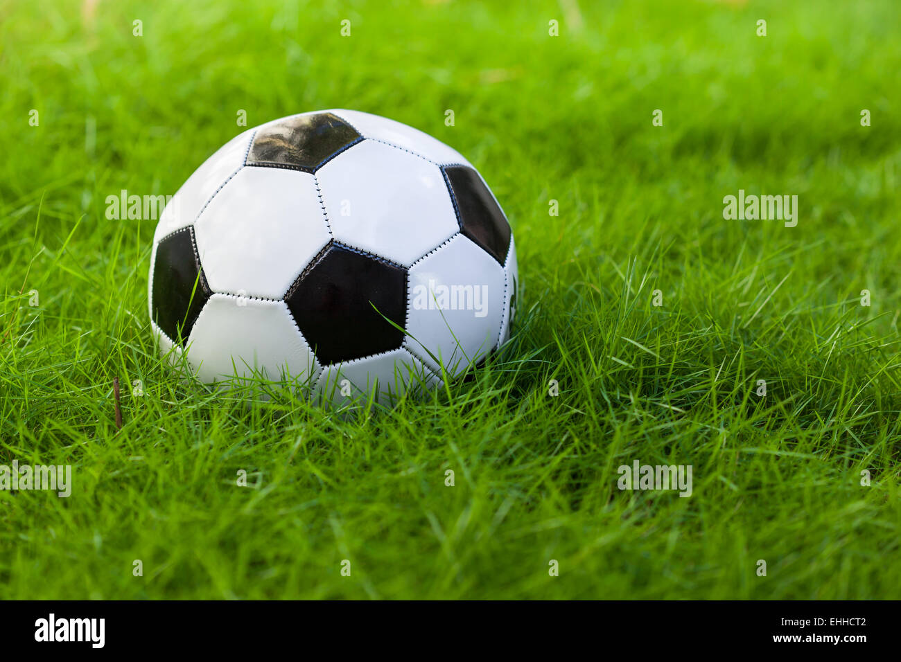 Ballon de soccer sur le terrain d'herbe verte libre Banque D'Images