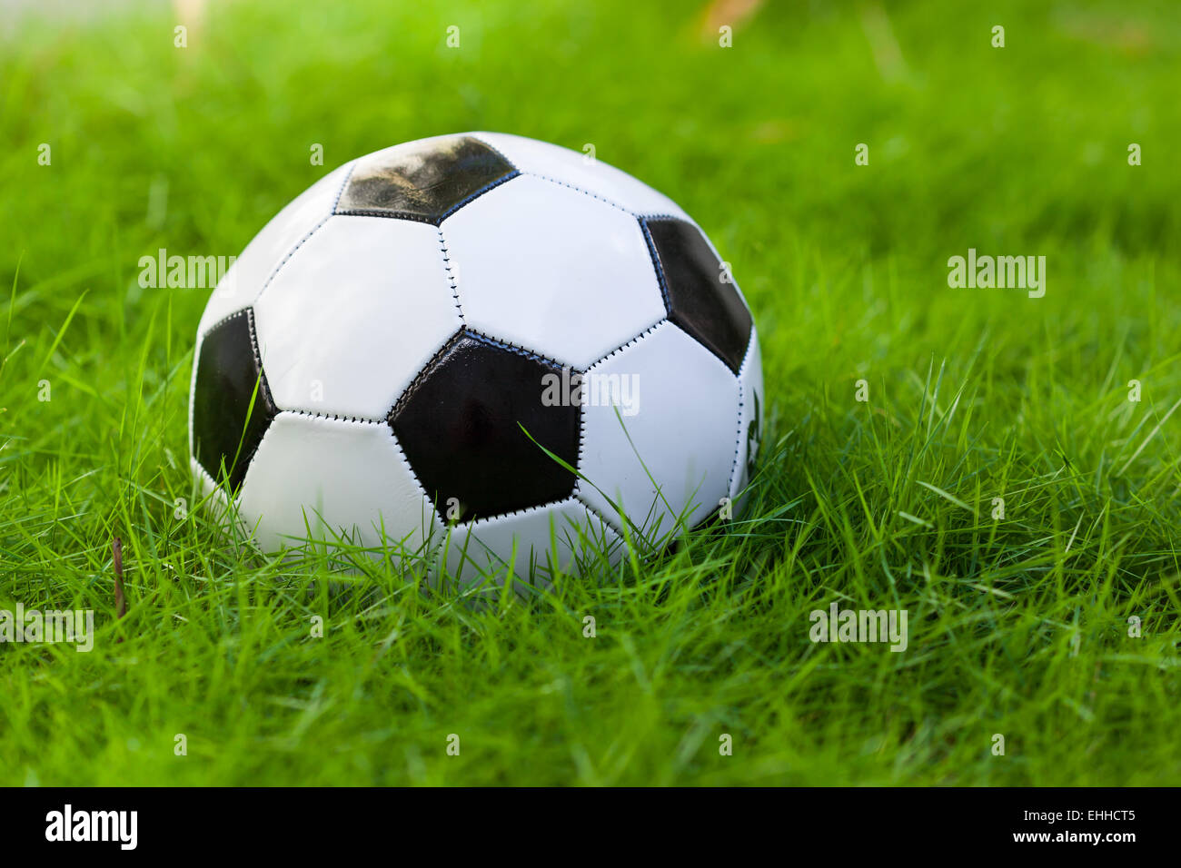 Ballon de soccer sur le terrain d'herbe verte libre Banque D'Images