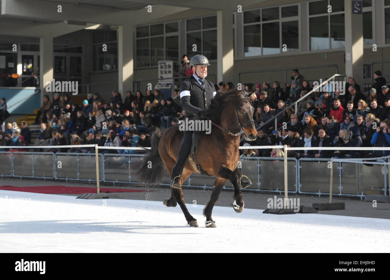 AMORTISSEUR PONEY CHEVAL LENA 500 MARINE FOUGANZA