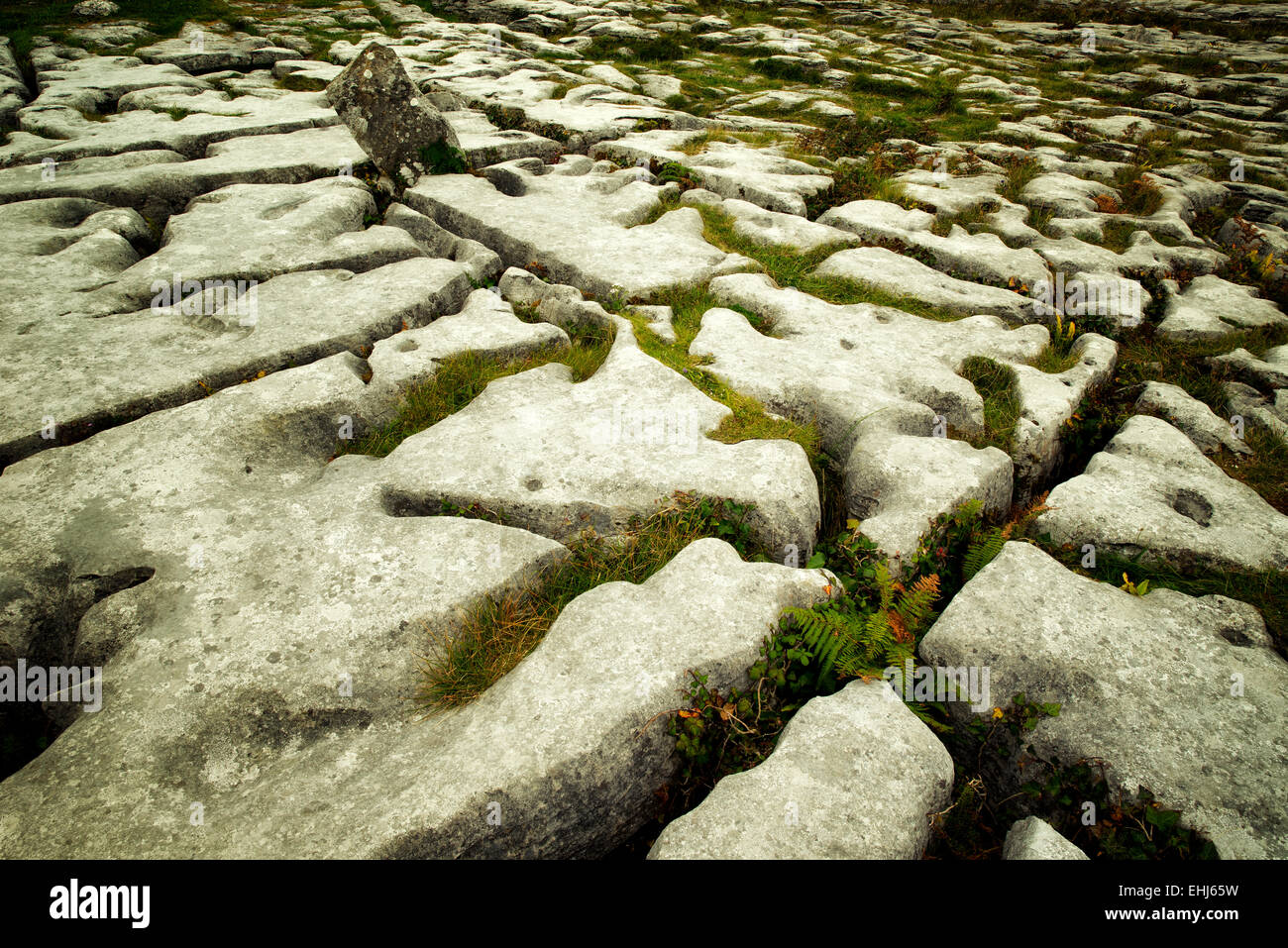 Rock formation karstique près de la tombe mégalithique de Poulnabrone appelé. Le Burren, Irlande Banque D'Images