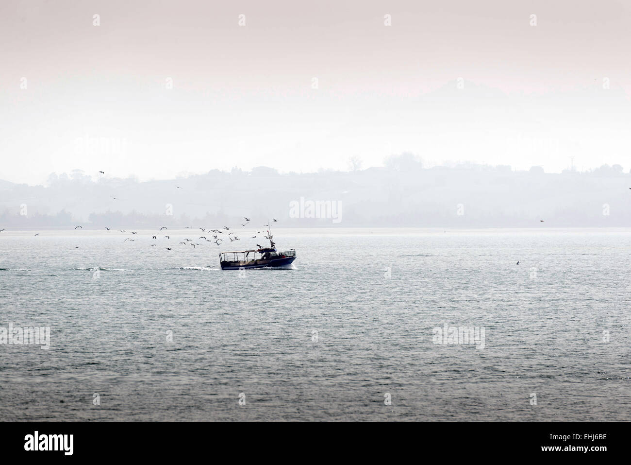 Bateau de pêche de retour avec plein de mouettes s'alimenter à l'arrière du bateau. Banque D'Images